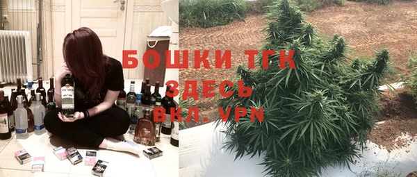 экстази Бородино
