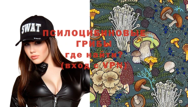 прущая мука Семилуки