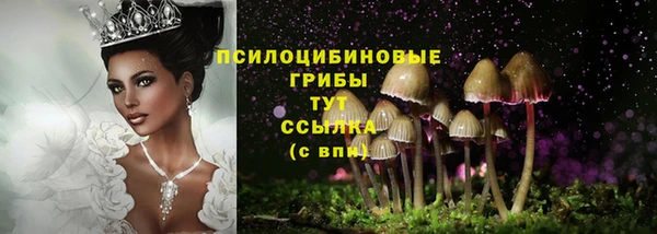 mdpv Бугульма